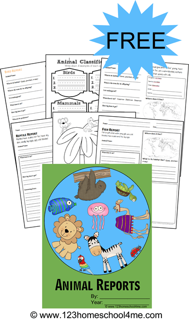 Engaging guide for writing animal reports in handwriting practice for young learners Colorful worksheet for kindergarten students to create an All About Animals report