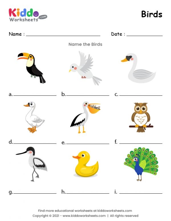 Bird Subtraction Worksheet for Kindergarten Learners Children engaging in bird-themed subtraction activities on a colorful worksheet