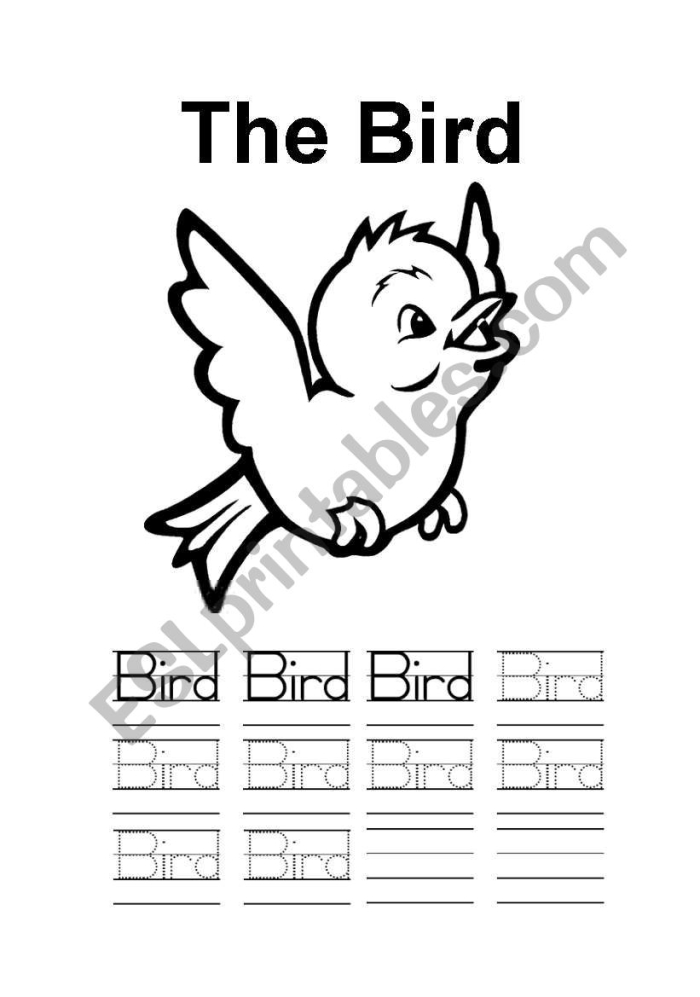 Bird Subtraction Worksheet for Kindergarten Learners young children practicing subtraction with birds in a colorful worksheet