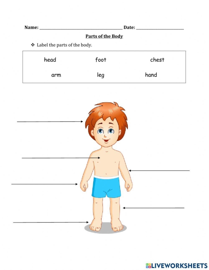 Label the Body Parts worksheet for kindergarten students to enhance reading and body awareness skills