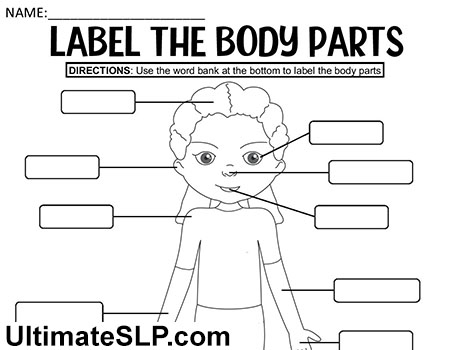 Label the Body Parts worksheet for kindergarten students focusing on body identification