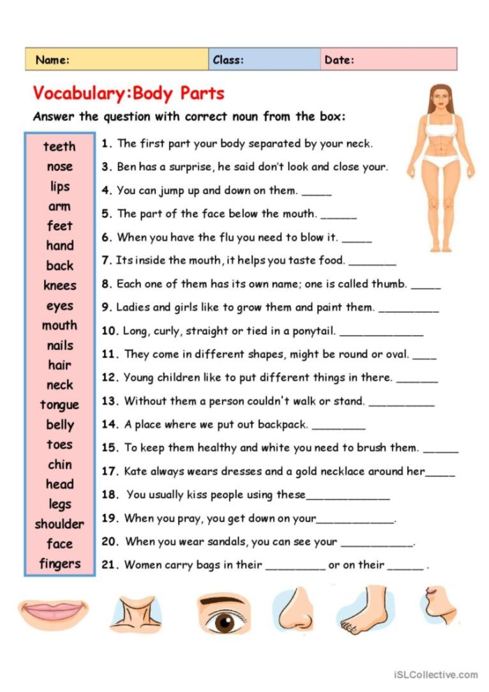 Fun and educational Learn Body Parts worksheet for young learners Worksheet for identifying human body parts for kindergarten students