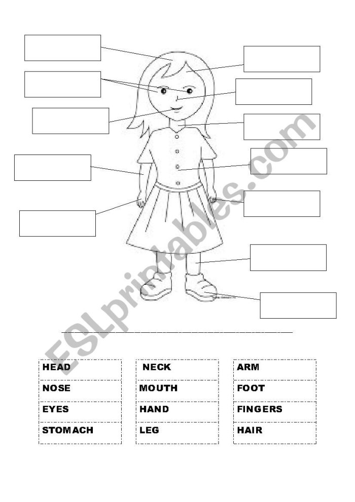 Worksheet for labeling body parts to enhance reading skills in kindergarten