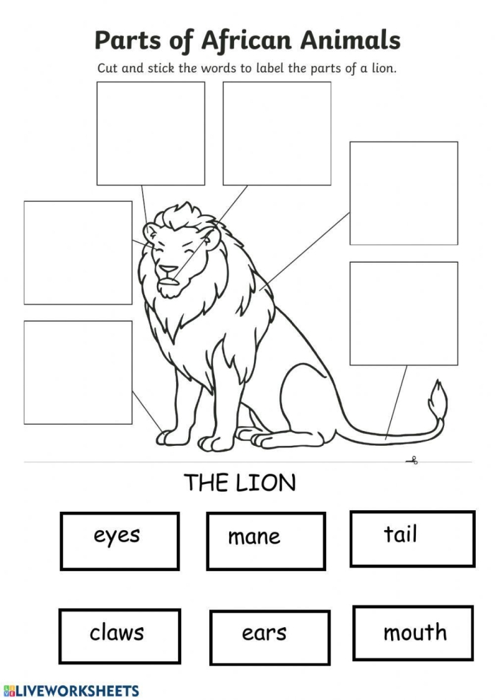 Kindergarten student completing a label the body parts alphabet worksheet