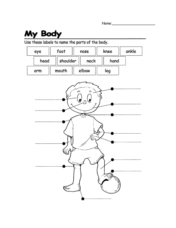 Kindergarten student working on a Label the Body Parts worksheet to practice reading skills