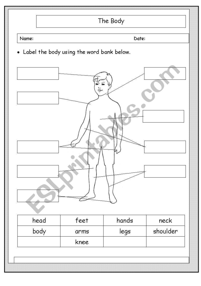 Worksheet featuring body parts for labeling practice in kindergarten