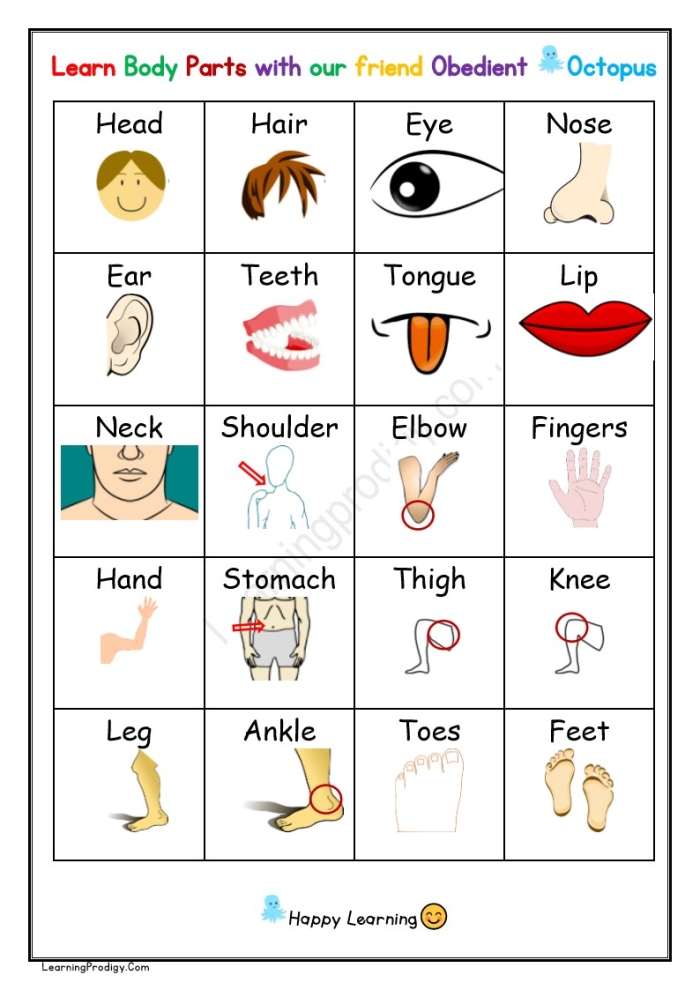 Worksheet for labeling body parts designed for kindergarten students