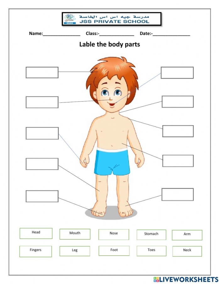 Kindergarten student worksheet for labeling human body parts to build literacy skills