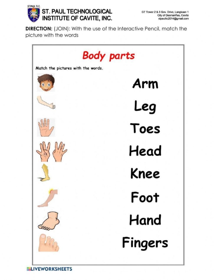 Engaging body parts worksheet for young learners in algebra class Illustration of a worksheet designed for kindergarteners to learn body parts