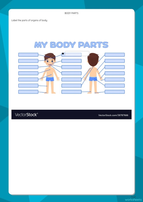 Engaging Learn Body Parts worksheet for Kindergarten students Image of a worksheet designed for children to learn about human body parts