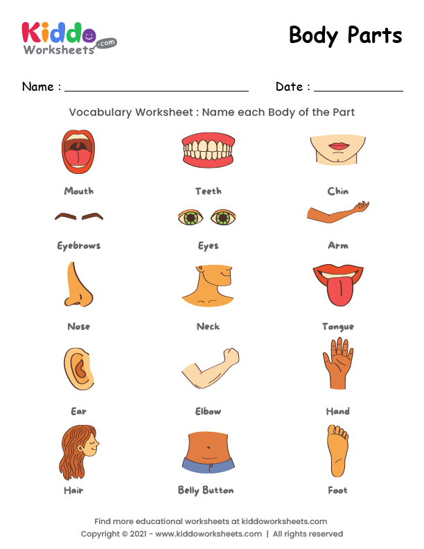 Interactive worksheet to help kids identify human body parts Learn body parts with this engaging worksheet for kindergarten students