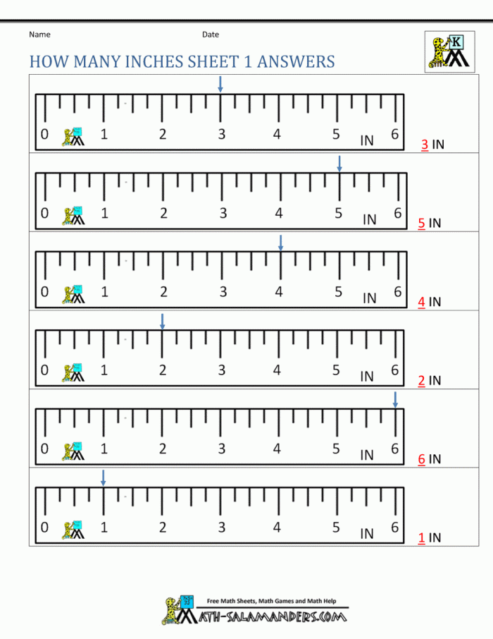 Measuring Bug Inches Worksheet Activity for Young Learners Colorful bugs with measurement lines for kindergarten students to practice measuring length in inches