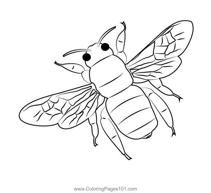 Bumble Bee Coloring Page Worksheet 16 Kindergarten bumble bee coloring page worksheet with a fun honeybee theme