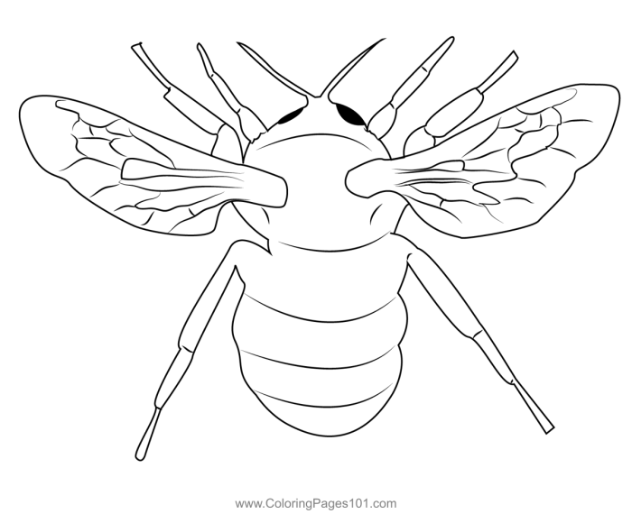 Happy Bumble Bee Coloring Activity for Young Learners Exploring Fractions A kindergarten student coloring a bumble bee and flowers in a nature scene with honey and fractions worksheet number 14