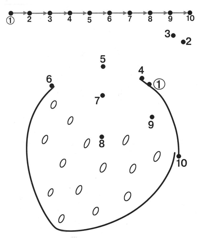 Hop Hop Dot-to-Dot Easter bunny connect the dots worksheet for number recognition A kindergarten student connects numbered dots to draw a hopping bunny for Easter counting practice
