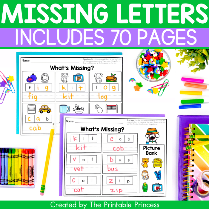 Printable "What's Missing?" worksheet for kindergarten sight words focusing on the word "can