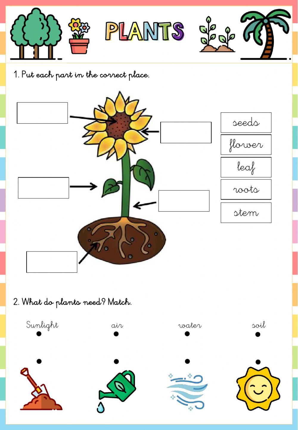 Kindergarten student completing a garden plant color by number activity sheet