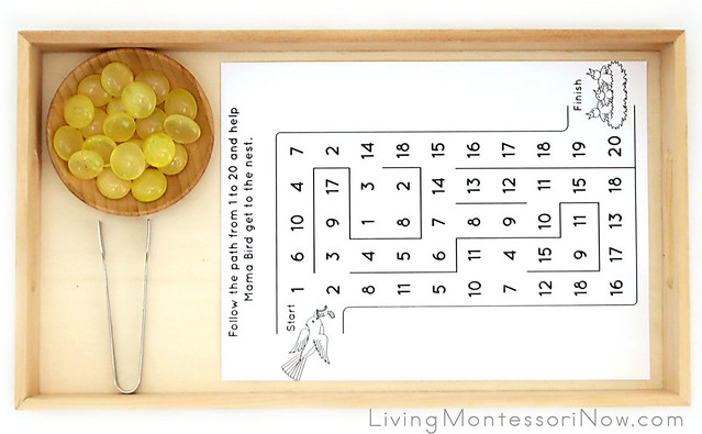 Mama bird guiding her chicks along a counting path from 1 to 20