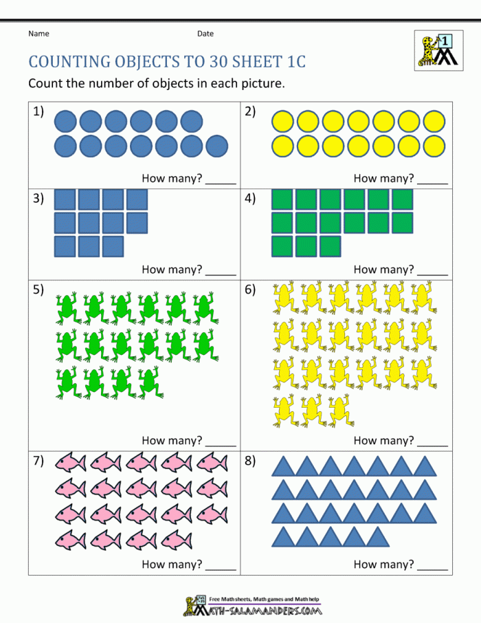 Engaging counting practice worksheet for young learners in Physical Science Counting Assessment worksheet for kindergarten students focused on numbers 1-20