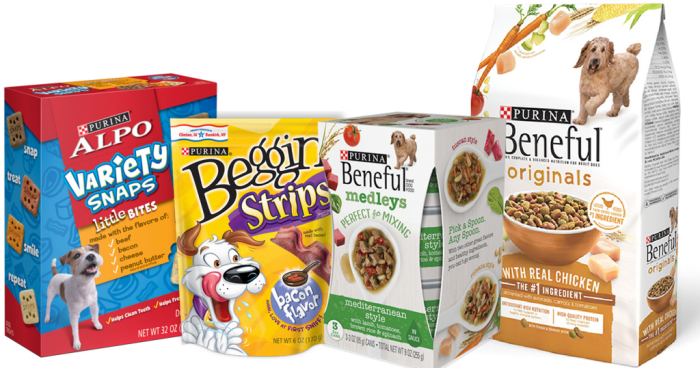 Vocabulary cards designed for the All the Ways to Count to 100 worksheet, ideal for kindergarten. Visual representation of vocabulary cards to enhance sight word learning for young learners.