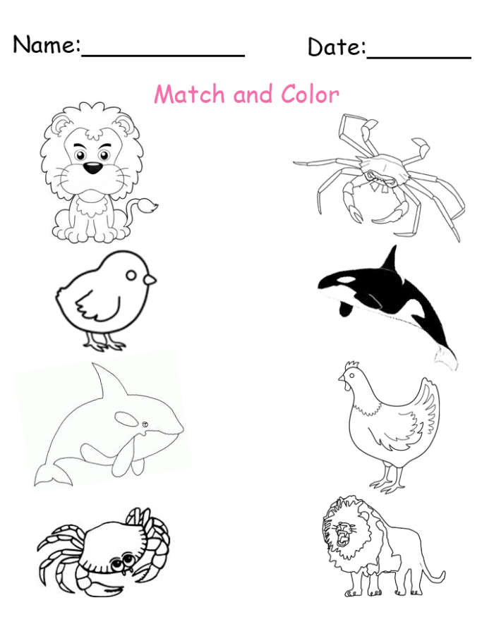 Kindergarten worksheet for matching CVC words to animal pictures
