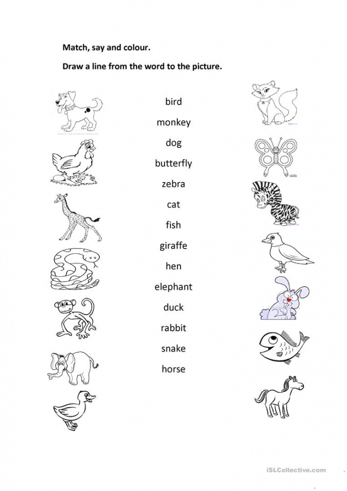 Kindergarten worksheet featuring a matching activity where students connect CVC words to their corresponding animal pictures