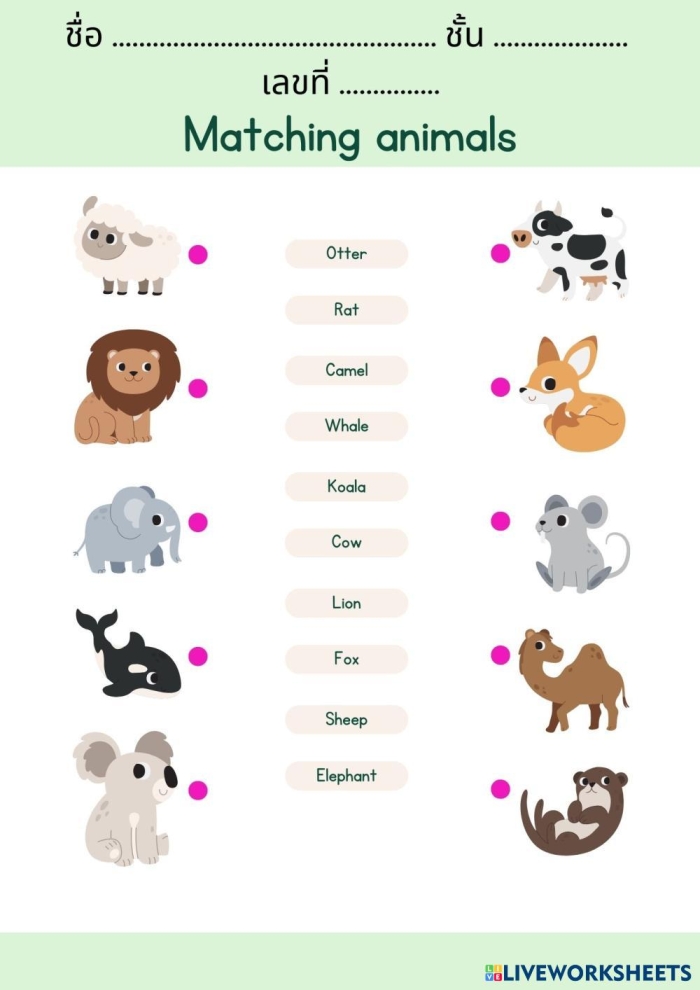 Kindergarten student matching CVC words to animal pictures on a reading worksheet