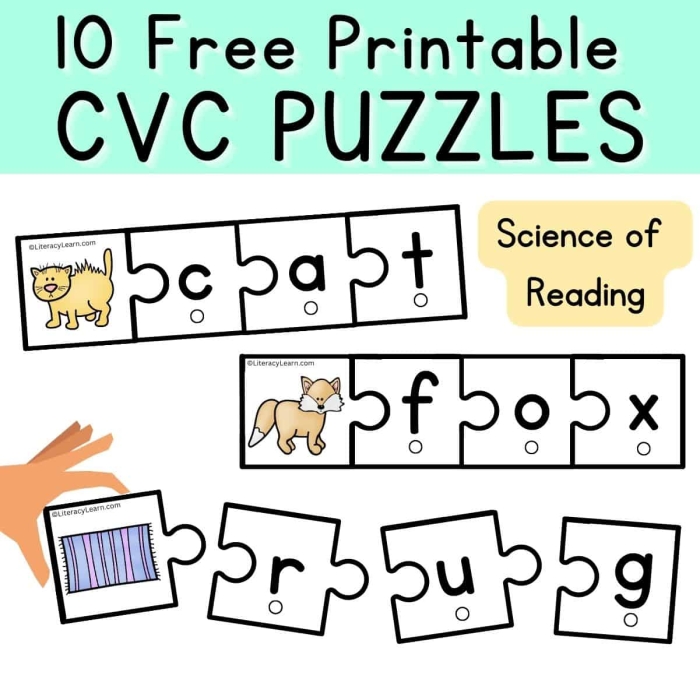 Interactive hands-on activity for teaching short A sounds in life science classrooms Short A CVC word sort worksheet featuring -ad and -ag words for kindergarten students