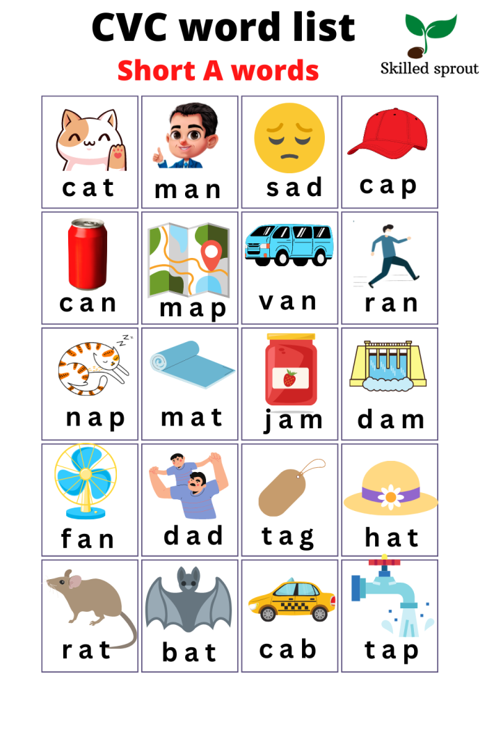 Interactive worksheet for short A CVC word sorting featuring -at and -an words for kindergarten. Short A CVC Word Sort: -at and -an (Words) worksheet for young learners.