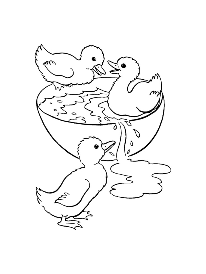 Duckling Coloring Page Worksheet 21 Springtime Animal Activity Cute baby duckling coloring page worksheet for kindergarten students to practice figurative language