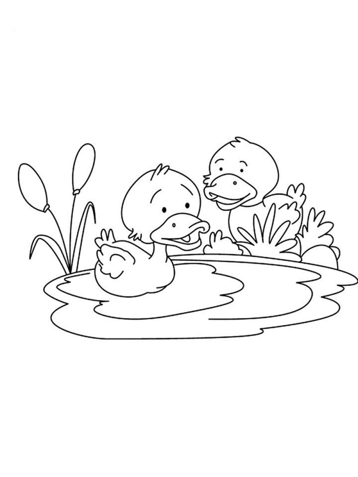 Sleepy Baby Duckling Coloring Worksheet for Spring A cute yellow duckling stretching and yawning after waking up from a nap, ready to be colored in by kindergarten students