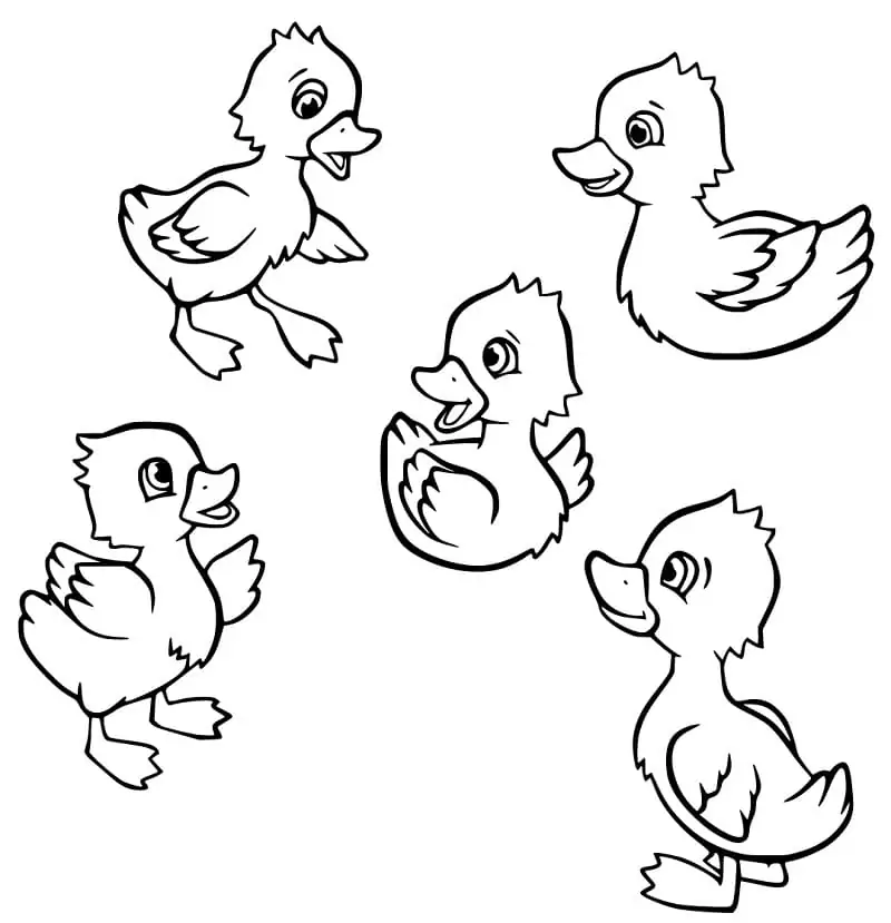 Sleepy Duckling Coloring Activity for Kids A cute baby duckling stretching after waking up from a nap, ready to be colored in for spring