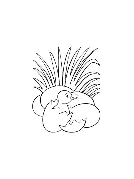 Duckling Coloring Page Worksheet Number 20 A cute baby duckling illustration for a kindergarten spring coloring page worksheet