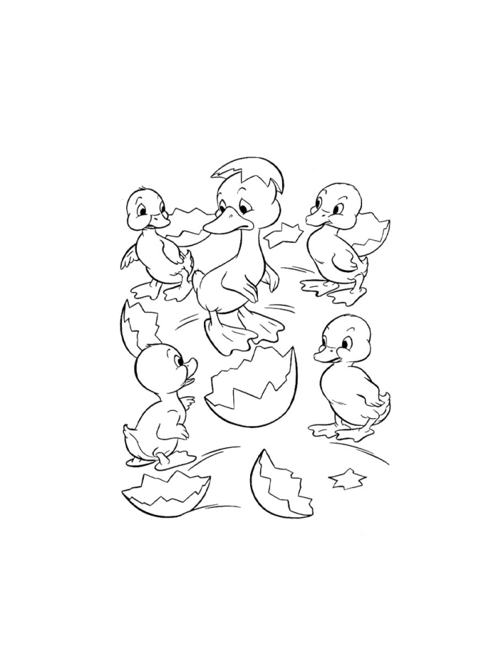 Duckling Coloring Page Worksheet 18 Springtime Kindergarten Activity Cute baby duckling coloring page for kindergarten students to learn about spring themes