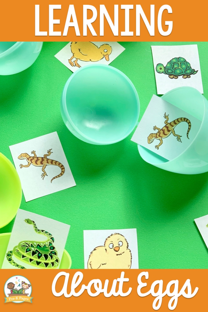Engaging Animals That Hatch From Eggs worksheet for young learners Colorful worksheet featuring animals that hatch from eggs for kindergarten students
