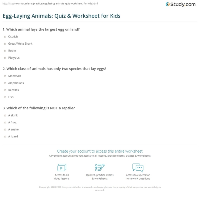 Engaging activity on animals that lay eggs for young learners Worksheet featuring various animals that hatch from eggs for kindergarten students