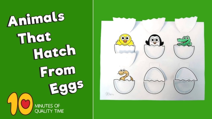Educational resource for teaching young children about egg-laying animals Colorful worksheet featuring various animals that hatch from eggs for kindergarten students