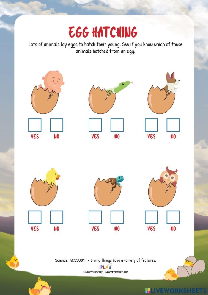 Engaging activity sheet for young learners about egg-hatching animals Colorful worksheet featuring animals that hatch from eggs for kindergarten students