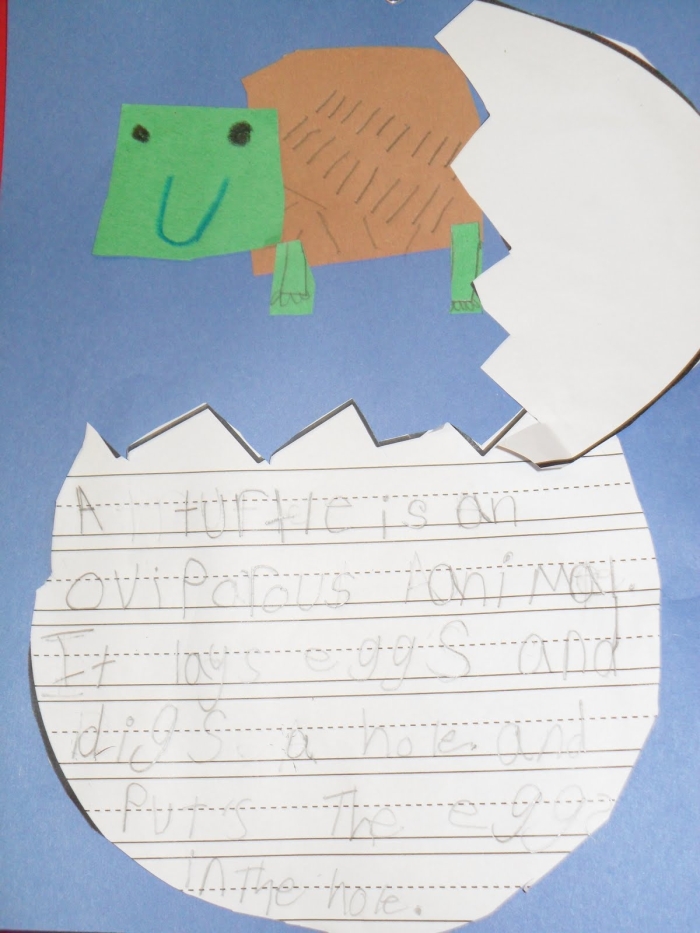 Animals That Hatch From Eggs Worksheet for Early Learners A colorful worksheet featuring various animals that hatch from eggs for kindergarten students