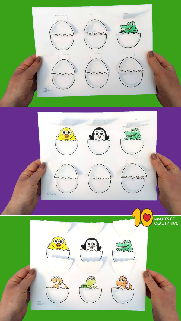 Educational worksheet on animals that hatch from eggs for early learners Worksheet showing various animals that hatch from eggs for kindergarten students