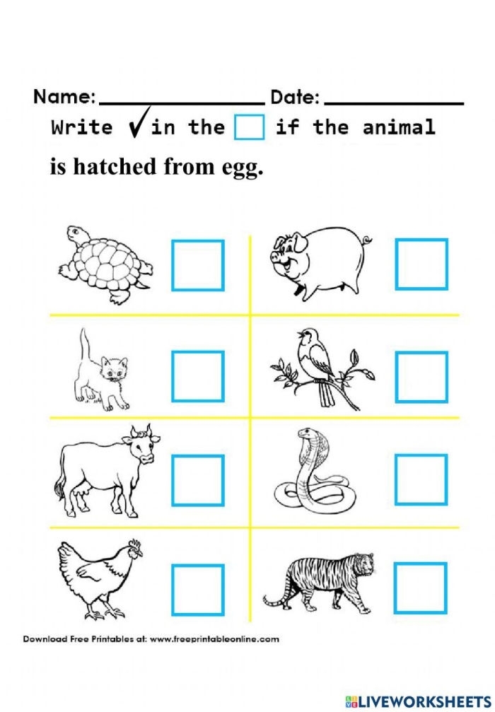 Engaging activity on animals that come from eggs for young learners Colorful worksheet featuring animals that hatch from eggs for kindergarten students