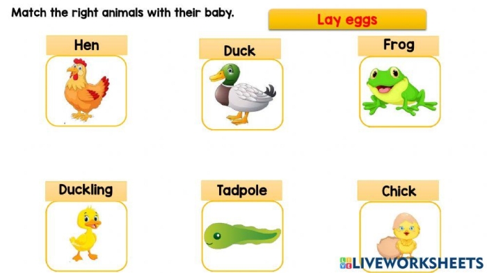 Engaging activities to help young learners identify egg-laying animals Colorful worksheet for kindergarteners focusing on animals that hatch from eggs