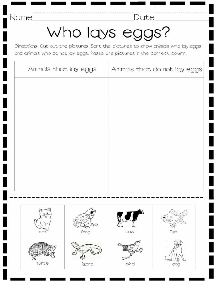 Animals That Hatch From Eggs - Kindergarten Worksheet for Beginners Worksheet featuring animals that hatch from eggs for kindergarten students