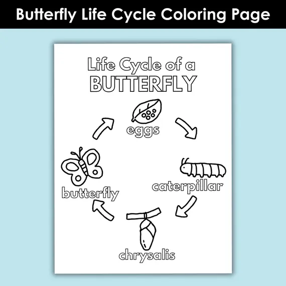 Color the Springtime Butterfly worksheet for Kindergarten