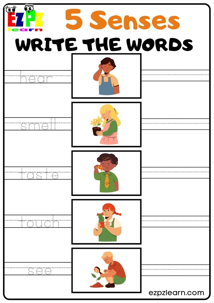 Geometry worksheet for Kindergarten Worksheet featuring a Five Senses Poem activity designed for kindergarten students. Engaging illustration for a sensory language lesson in geometry.