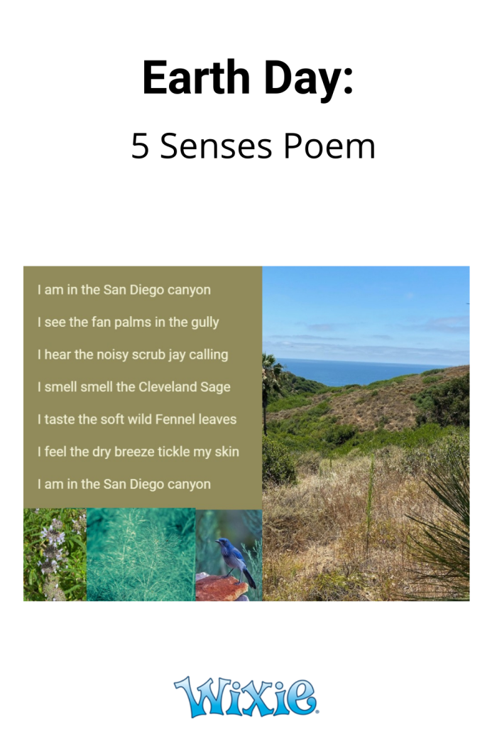 Explore sensory language through creative writing with this engaging worksheet Worksheet for Kindergarten students focusing on the Five Senses Poem activity