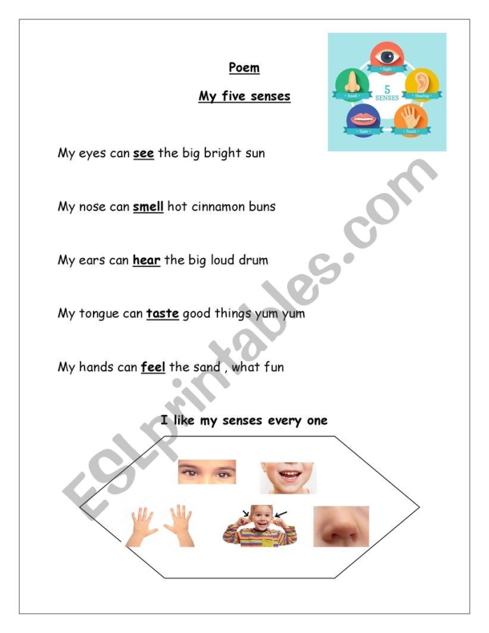 Five Senses Poem worksheet for kindergarten learning activities Worksheet for kids to explore sensory language through a five senses poem