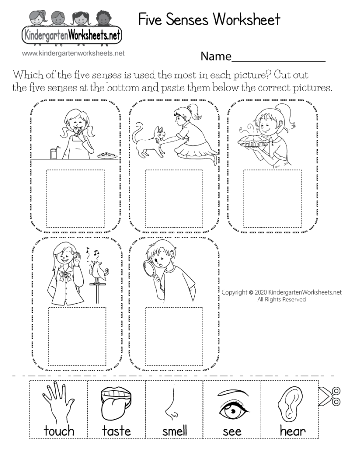 Engaging activity for Kindergarten students to explore their senses through poetry Worksheet for writing a Five Senses Poem to enhance sensory language skills