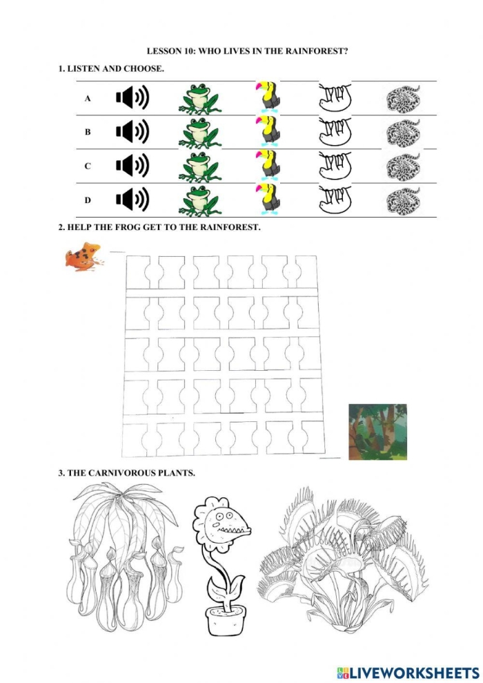 Worksheet for matching animals and their names in the woods for kindergarten students