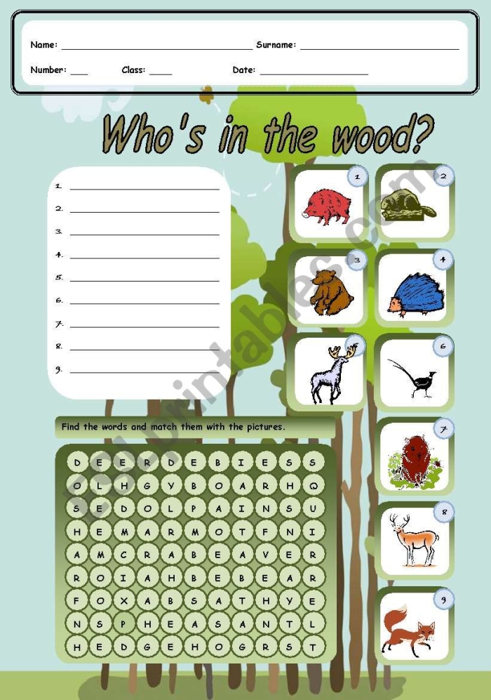 Kindergarten worksheet featuring forest animal matching activities for young students